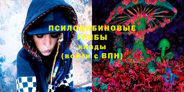 COCAINE Богородицк